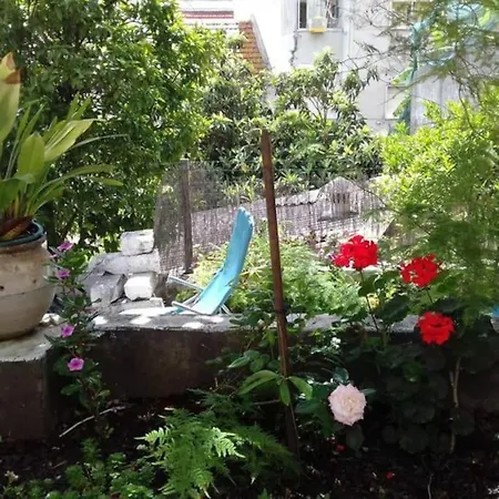 Appartement Charm Flat